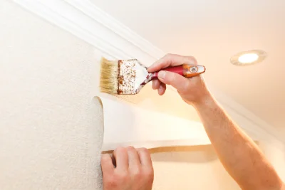 Pose de papier peint au Mayet-d'École — revêtements muraux et toiles de verre